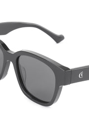 Predator Sunglasses - Black