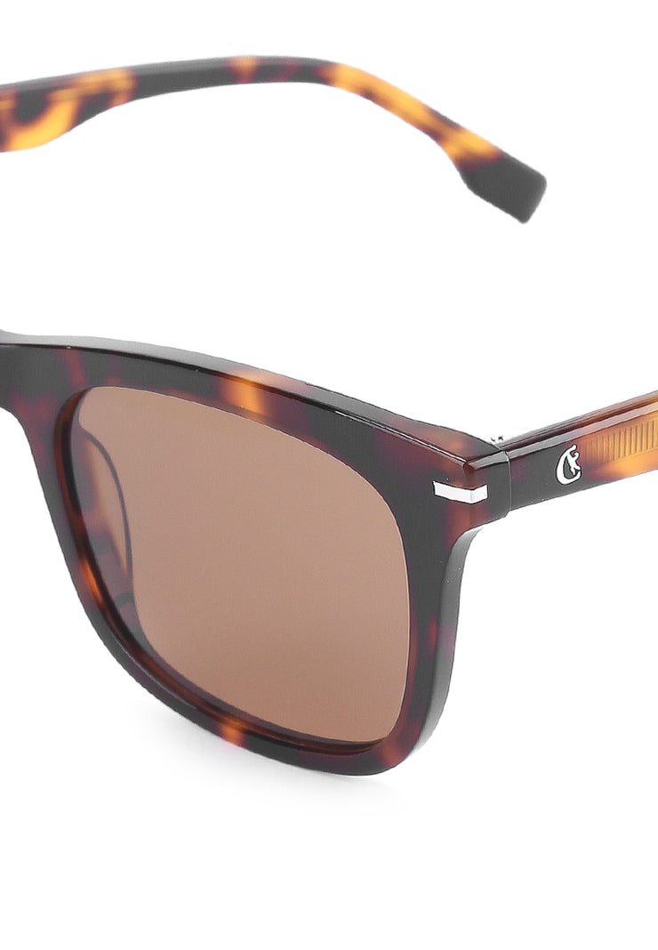 Wayfarer Sunglasses - Brown